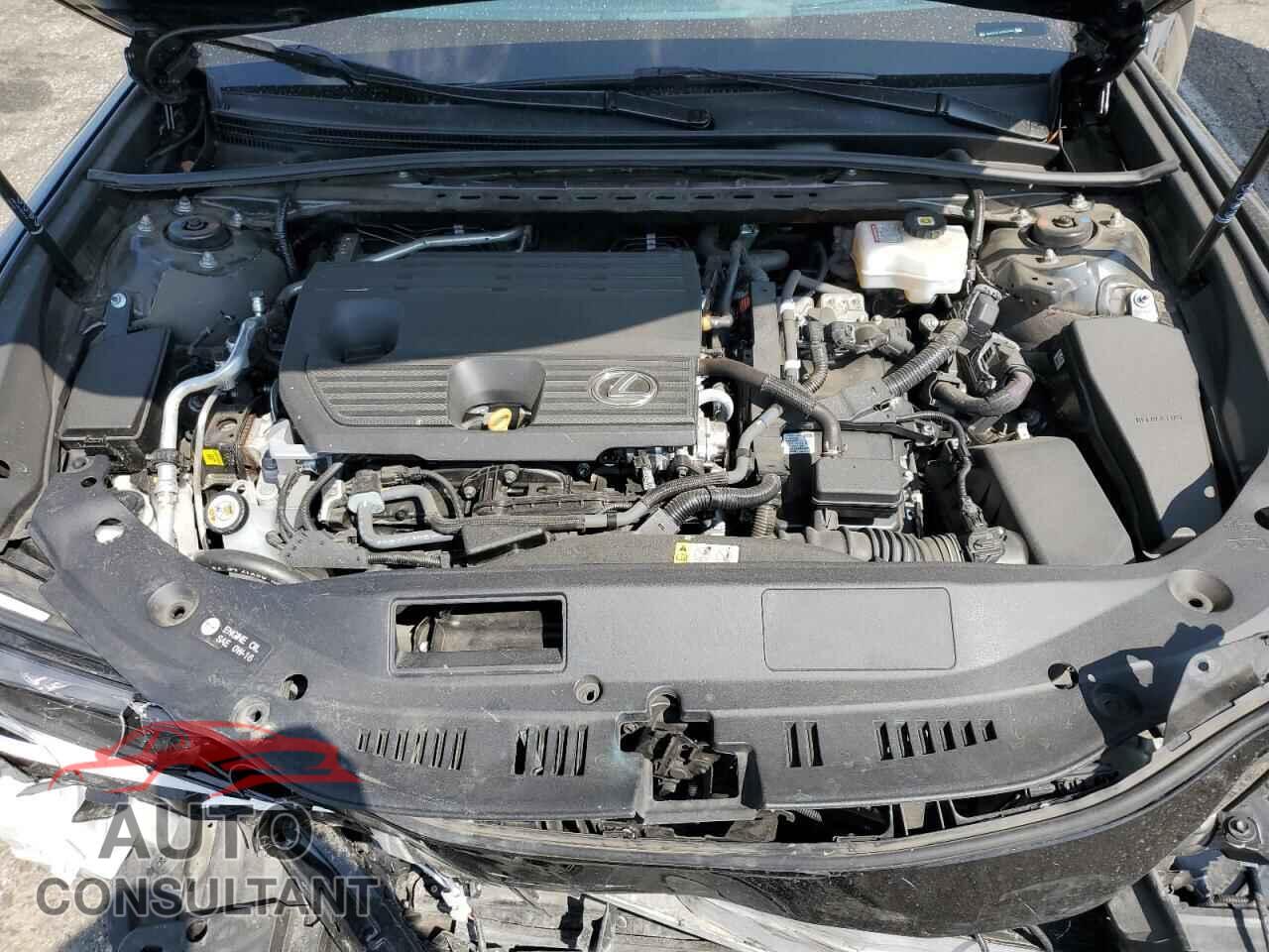 LEXUS ES300 2025 - 58ADA1C13SU055695