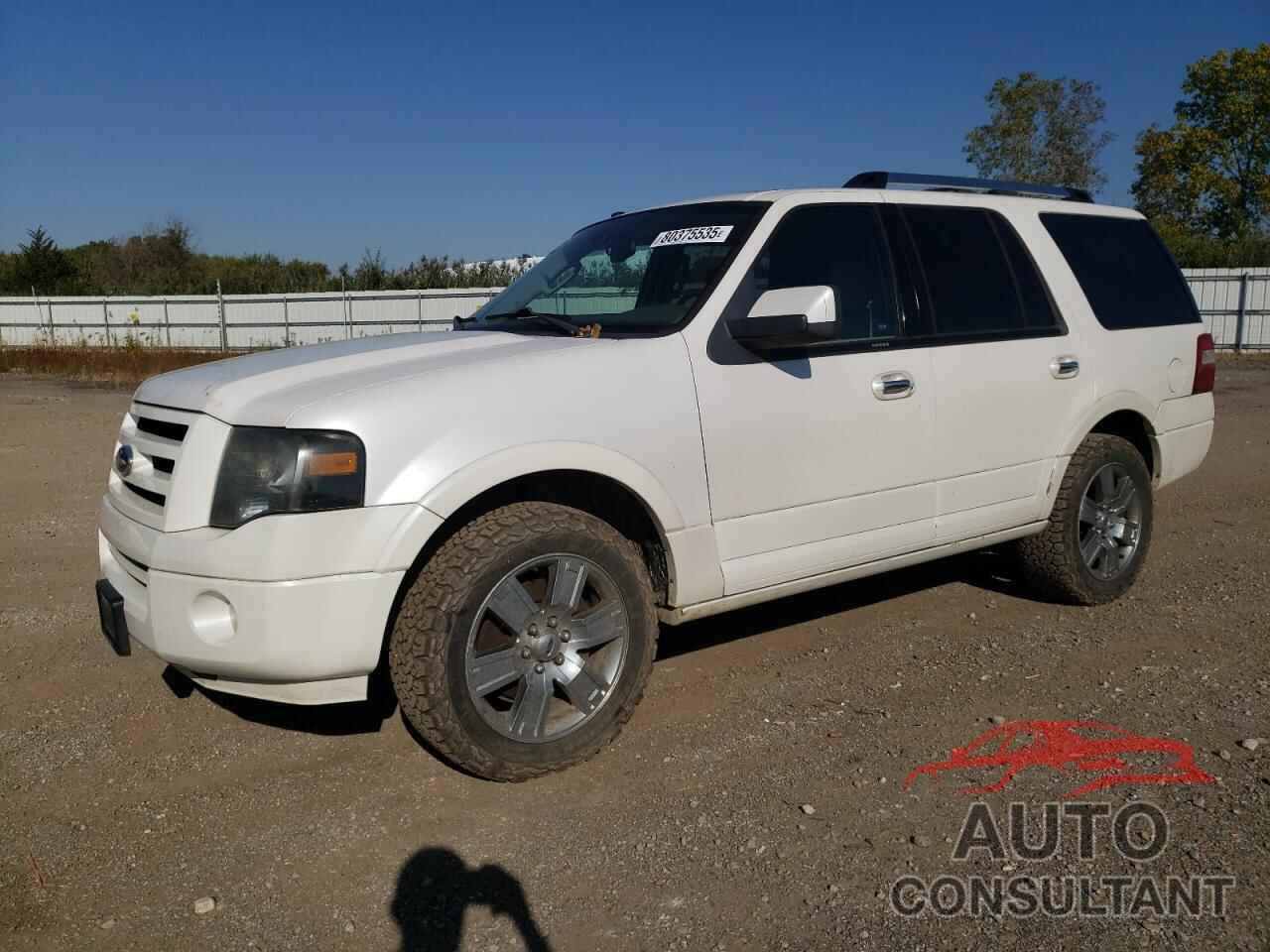 FORD EXPEDITION 2010 - 1FMJU1K53AEA34084