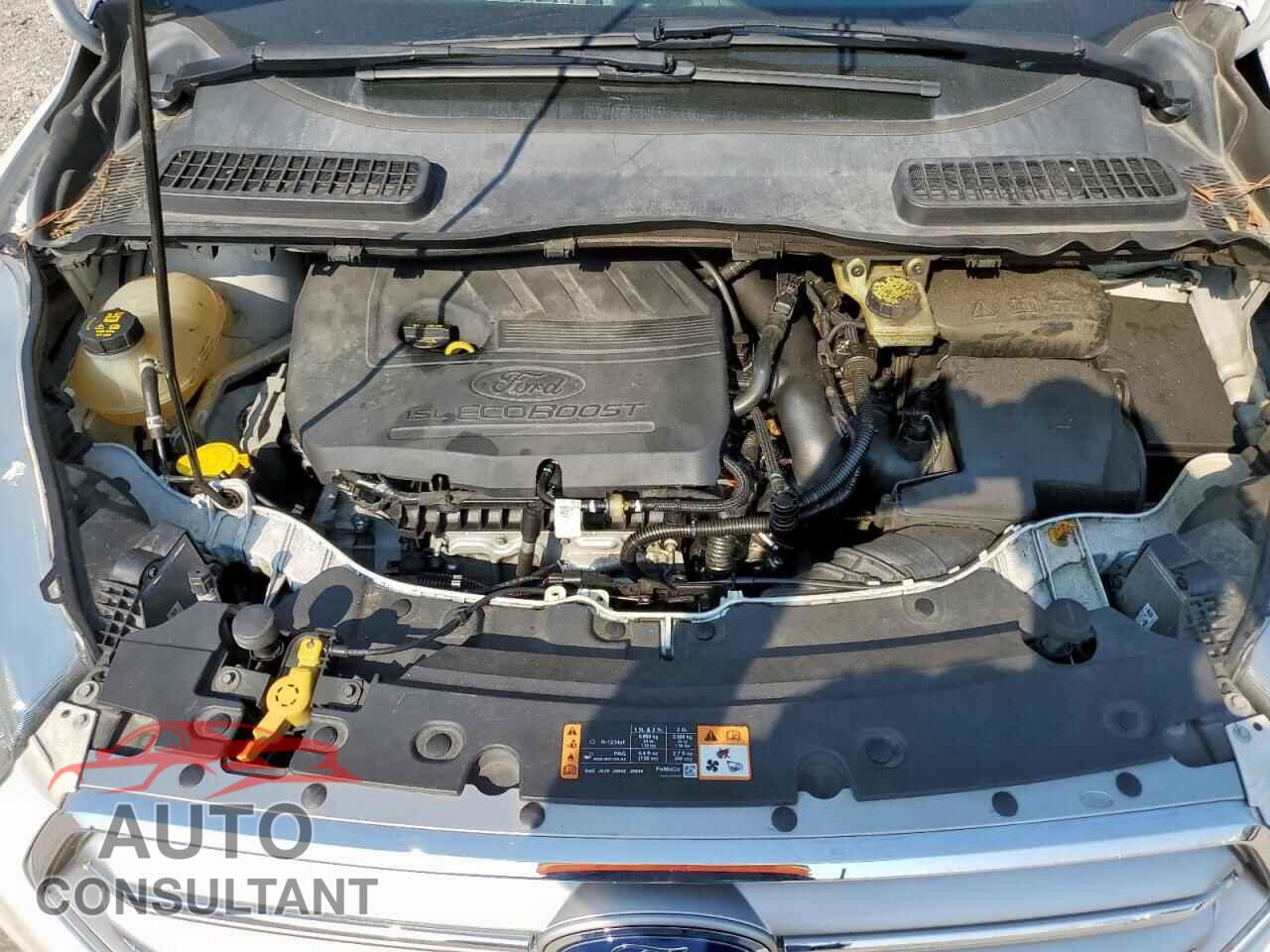 FORD ESCAPE 2017 - 1FMCU9GD0HUB47983