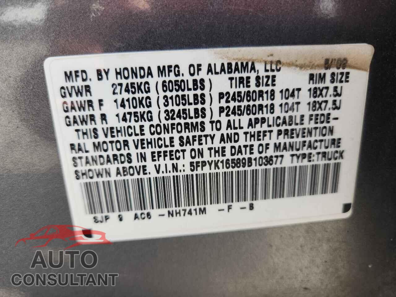 HONDA RIDGELINE 2009 - 5FPYK16589B103677