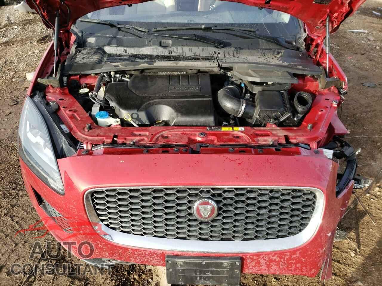 JAGUAR ETYPE 2019 - SADFP2FX3K1Z47833