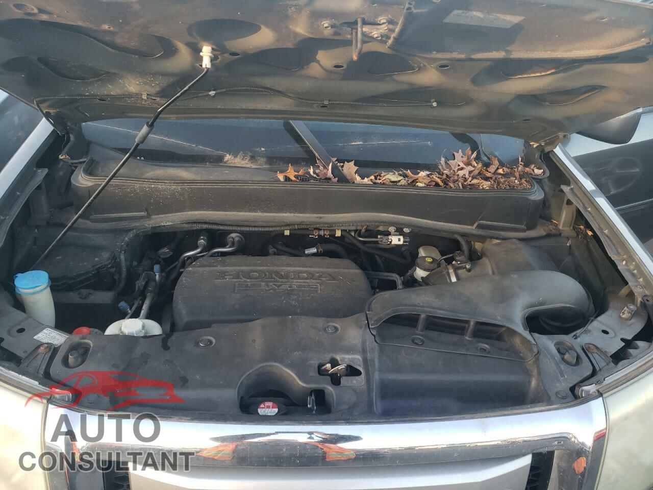 HONDA PILOT 2011 - 5FNYF4H56BB027989