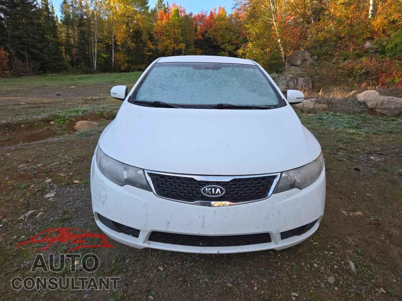 KIA FORTE 2013 - KNAFU4A27D5733450