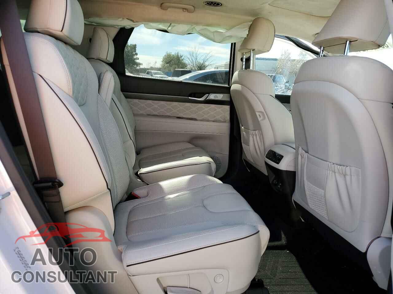 HYUNDAI PALISADE 2020 - KM8R5DHE0LU102679