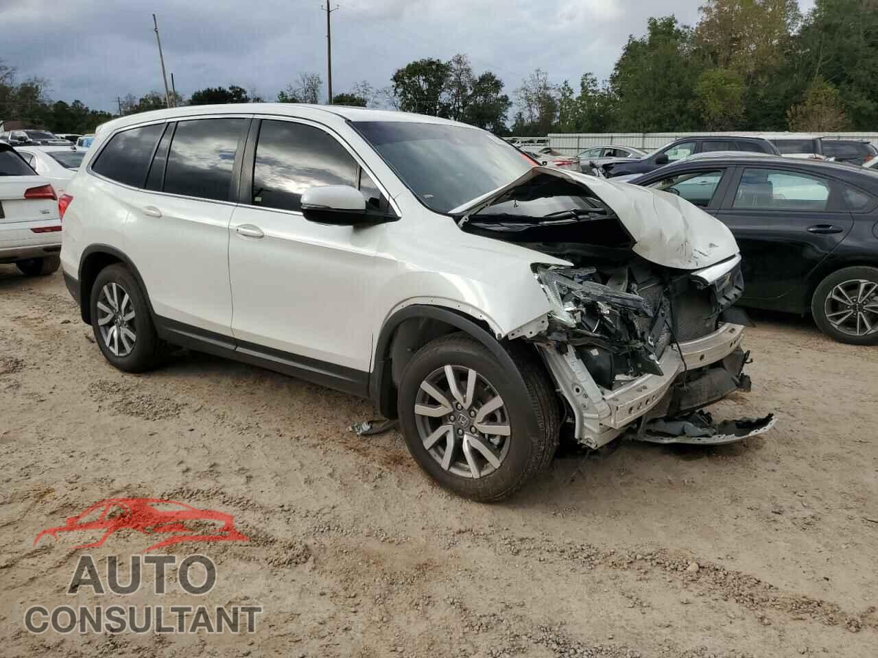 HONDA PILOT 2019 - 5FNYF5H43KB007793