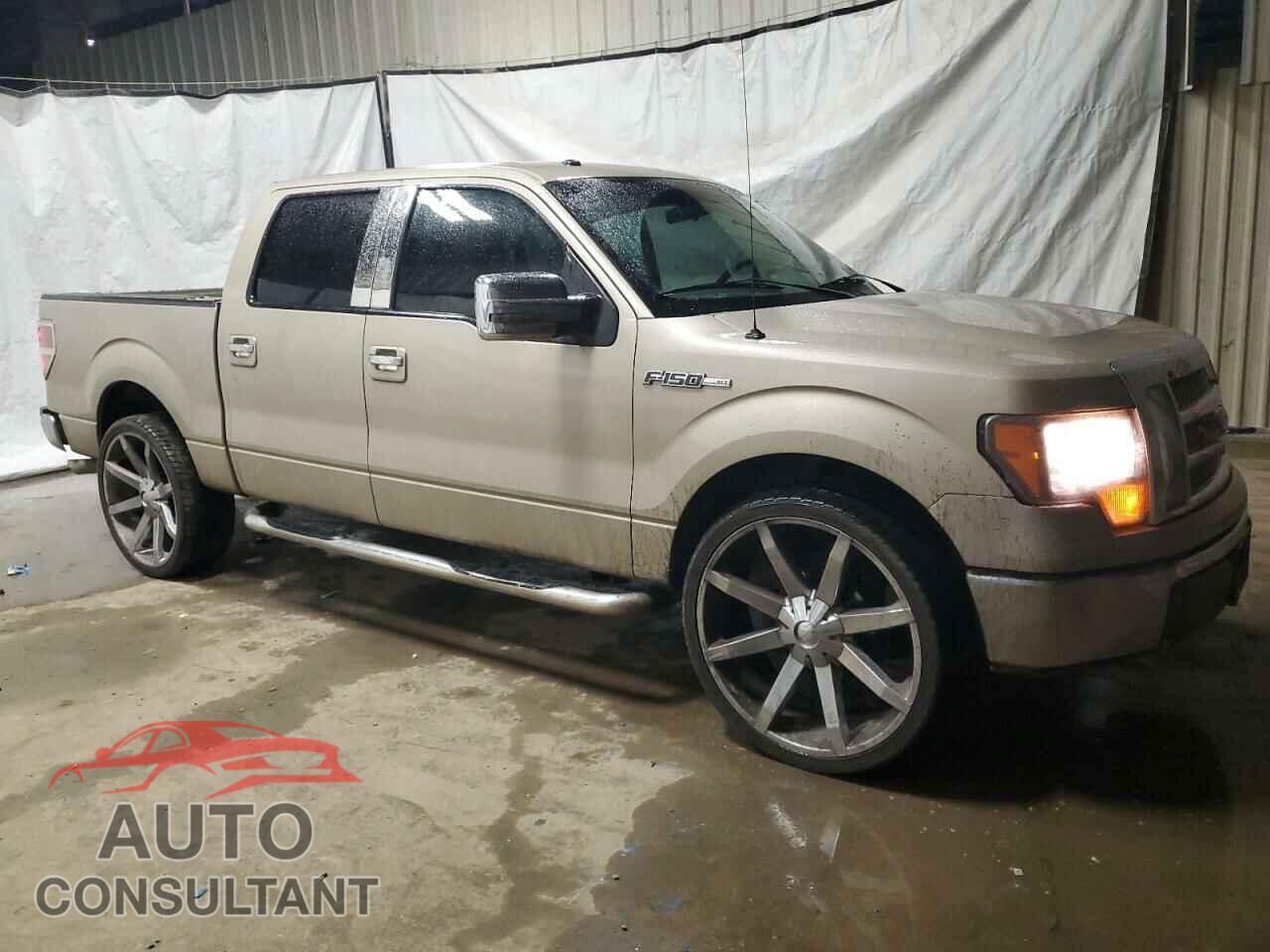 FORD F-150 2009 - 1FTRW12899FA10843
