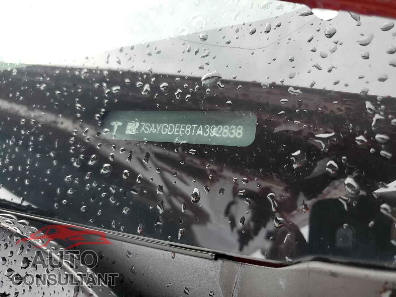 TESLA MODEL Y 2026 - 7SAYGDEE8TA392838