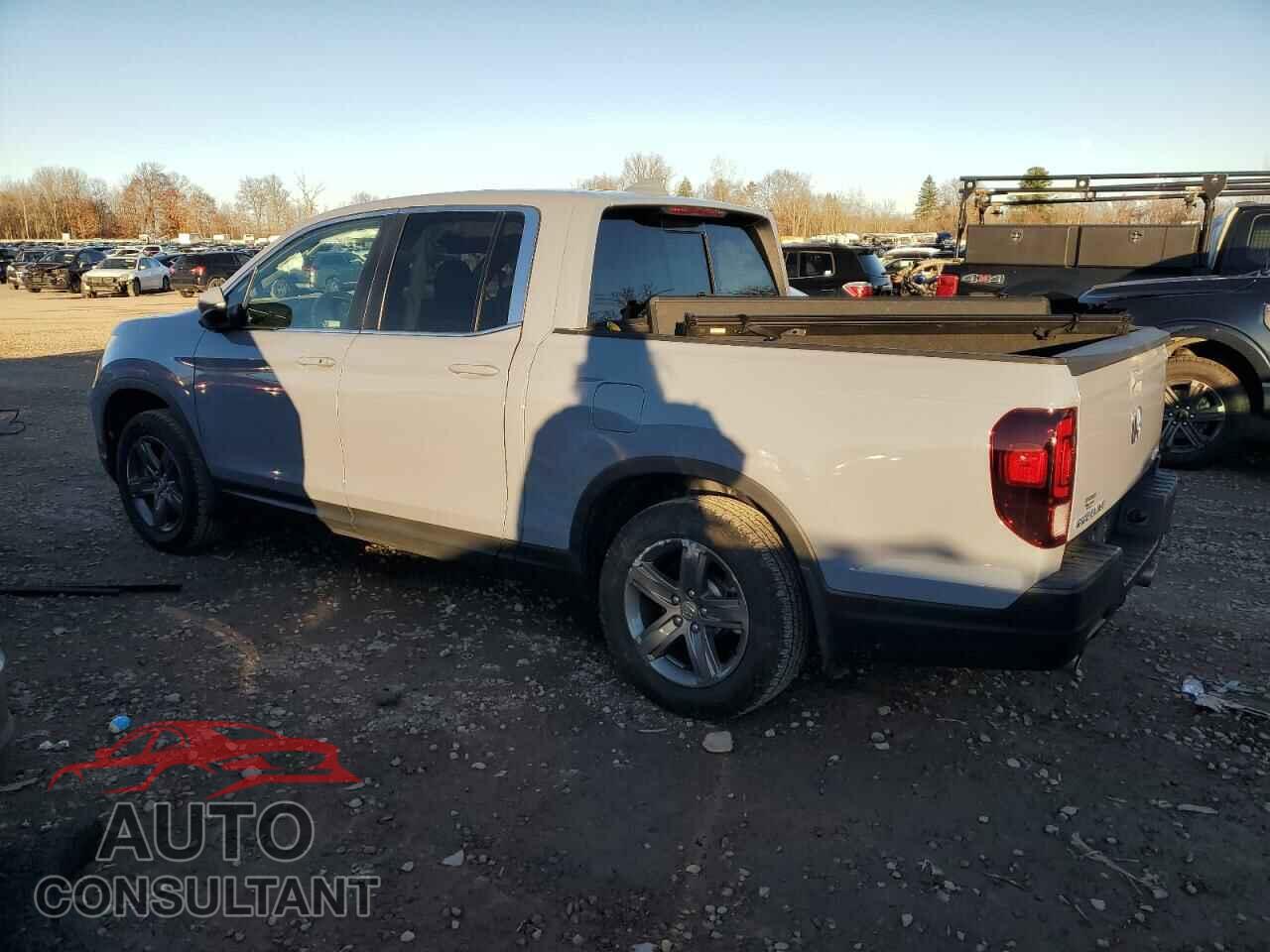 HONDA RIDGELINE 2023 - 5FPYK3F51PB030158