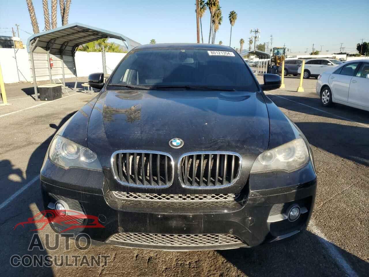 BMW X6 2011 - 5UXFG2C50BLX09214