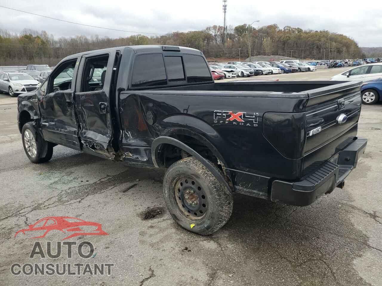 FORD F150 2011 - 1FTFW1ET3BFB15225