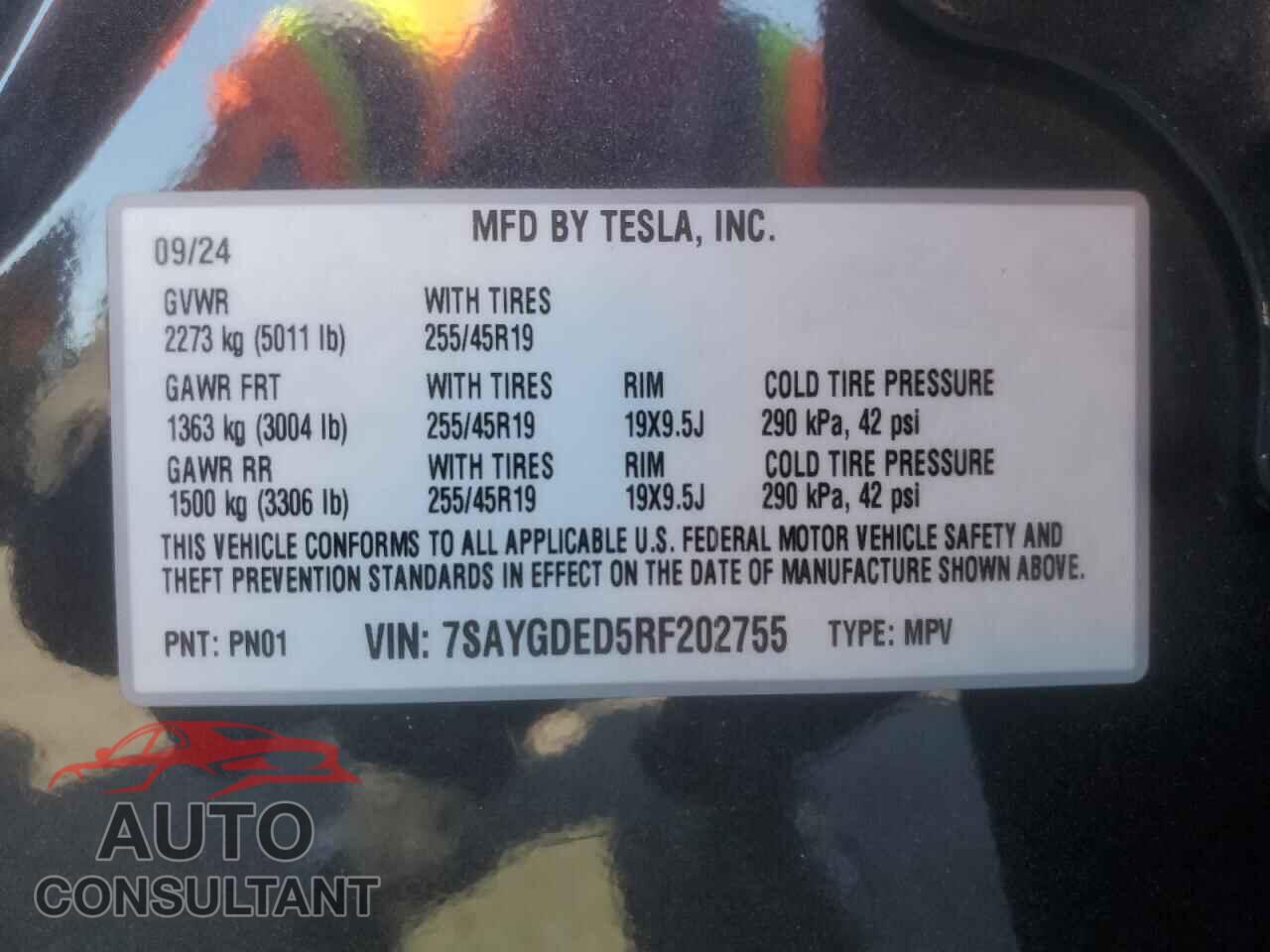 TESLA MODEL Y 2024 - 7SAYGDED5RF202755