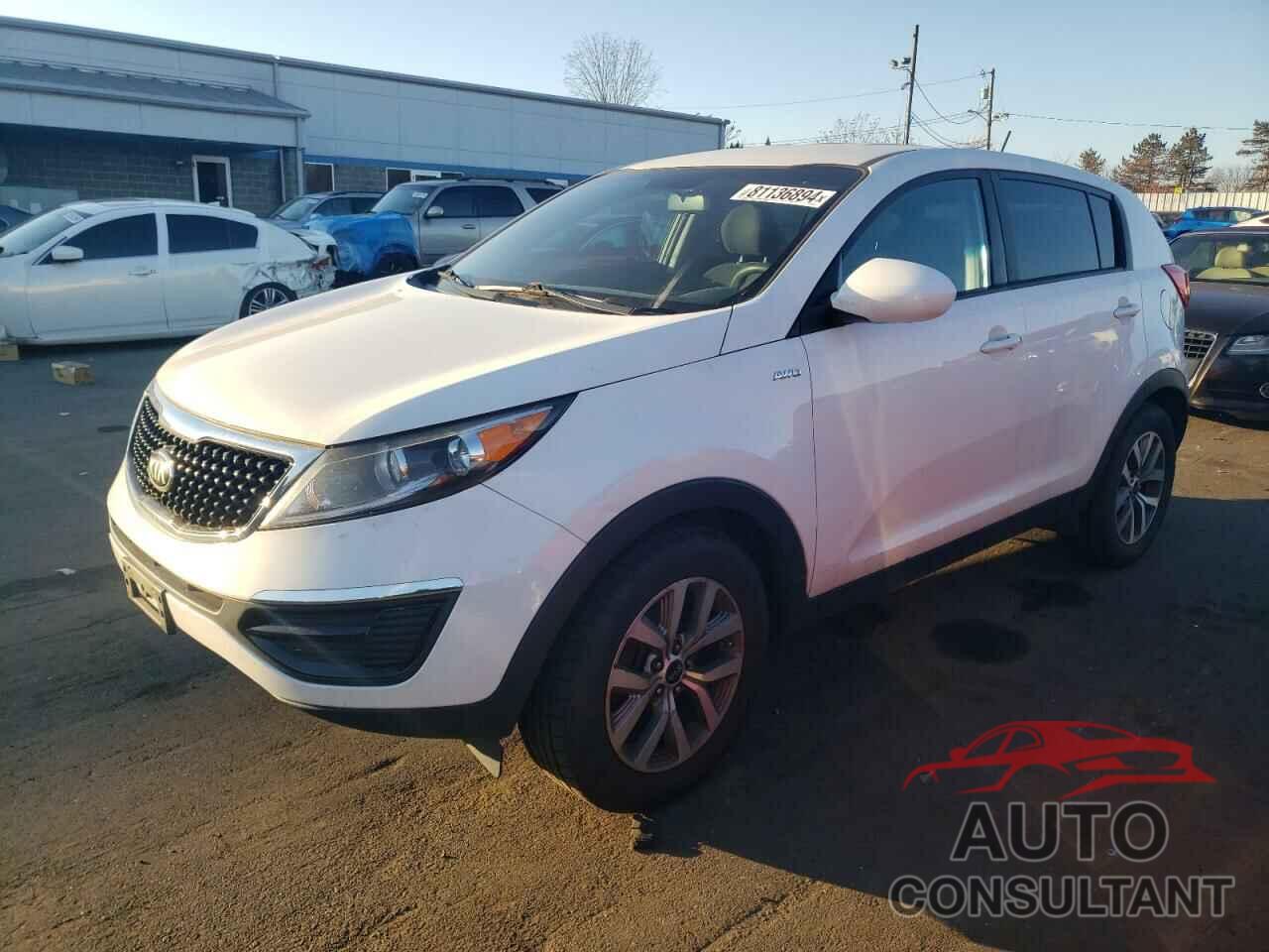 KIA SPORTAGE 2016 - KNDPBCACXG7880824