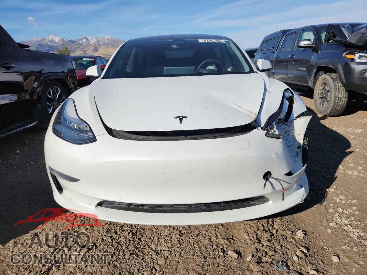 TESLA MODEL 3 2019 - 5YJ3E1EB3KF487116