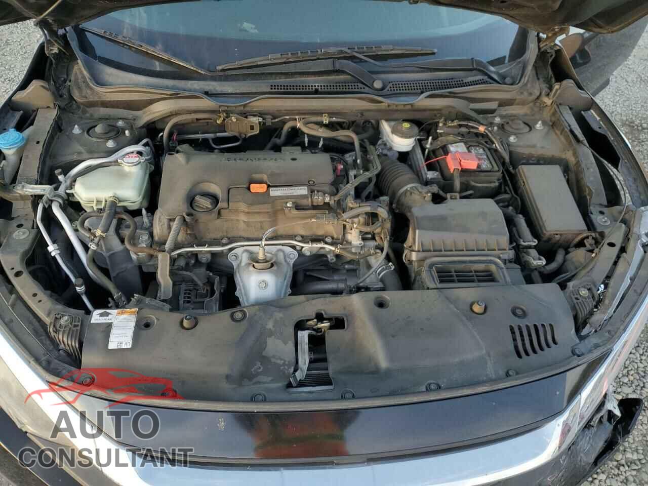 HONDA CIVIC 2017 - 2HGFC2F77HH550077