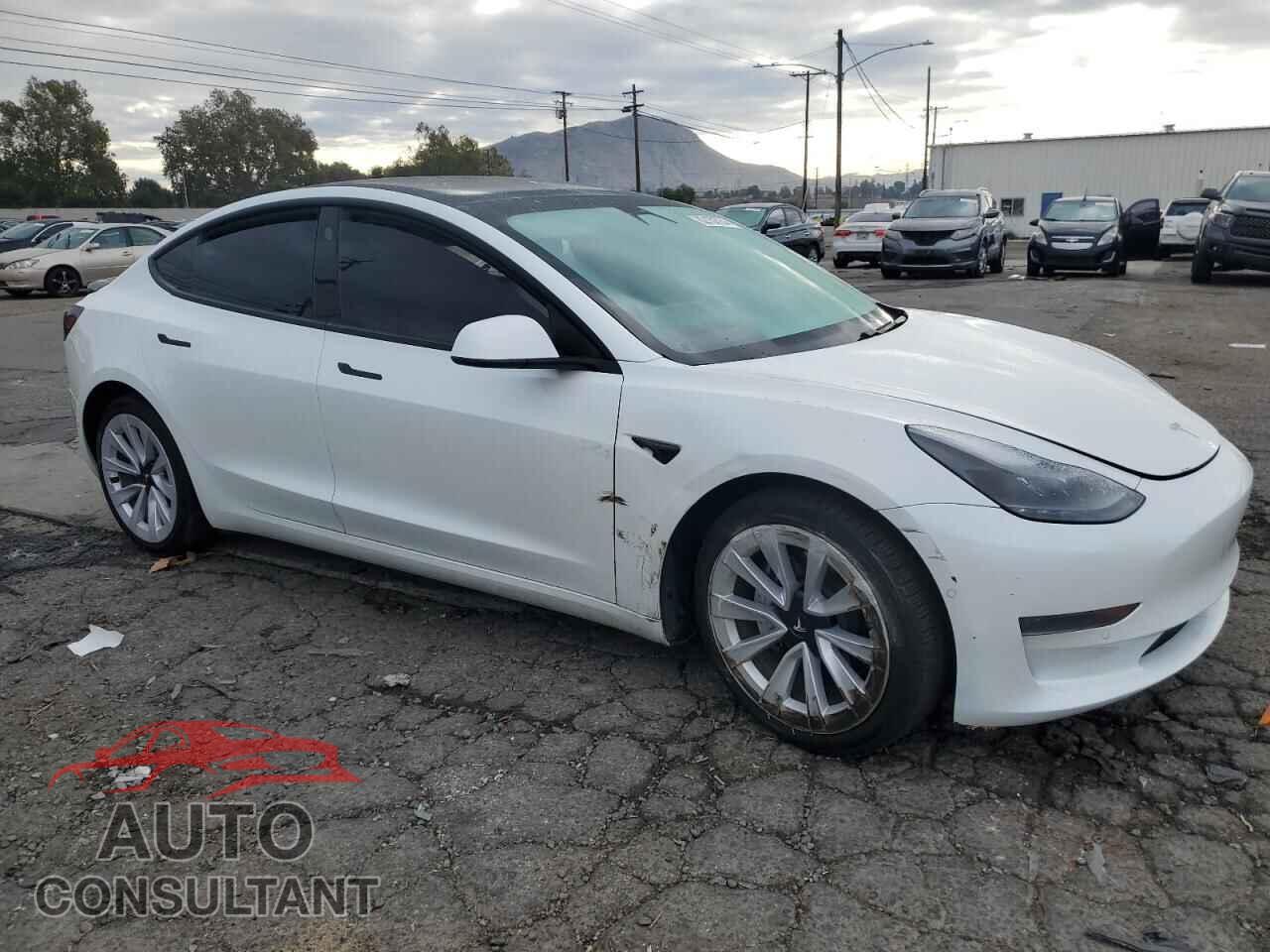 TESLA MODEL 3 2021 - 5YJ3E1EA0MF019158