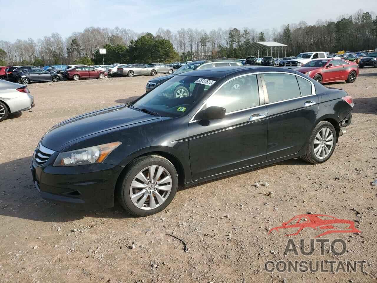 HONDA ACCORD 2011 - 1HGCP3F89BA016512