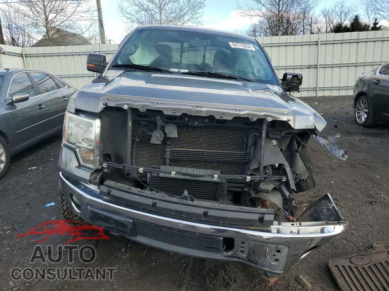 FORD F-150 2011 - 1FTFX1ET7BFC33209