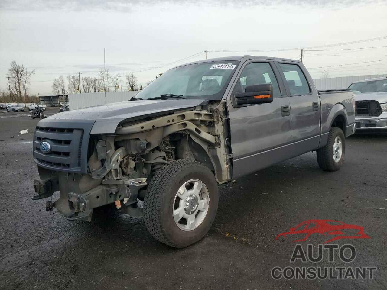 FORD F-150 2009 - 1FTRW148X9FA89467