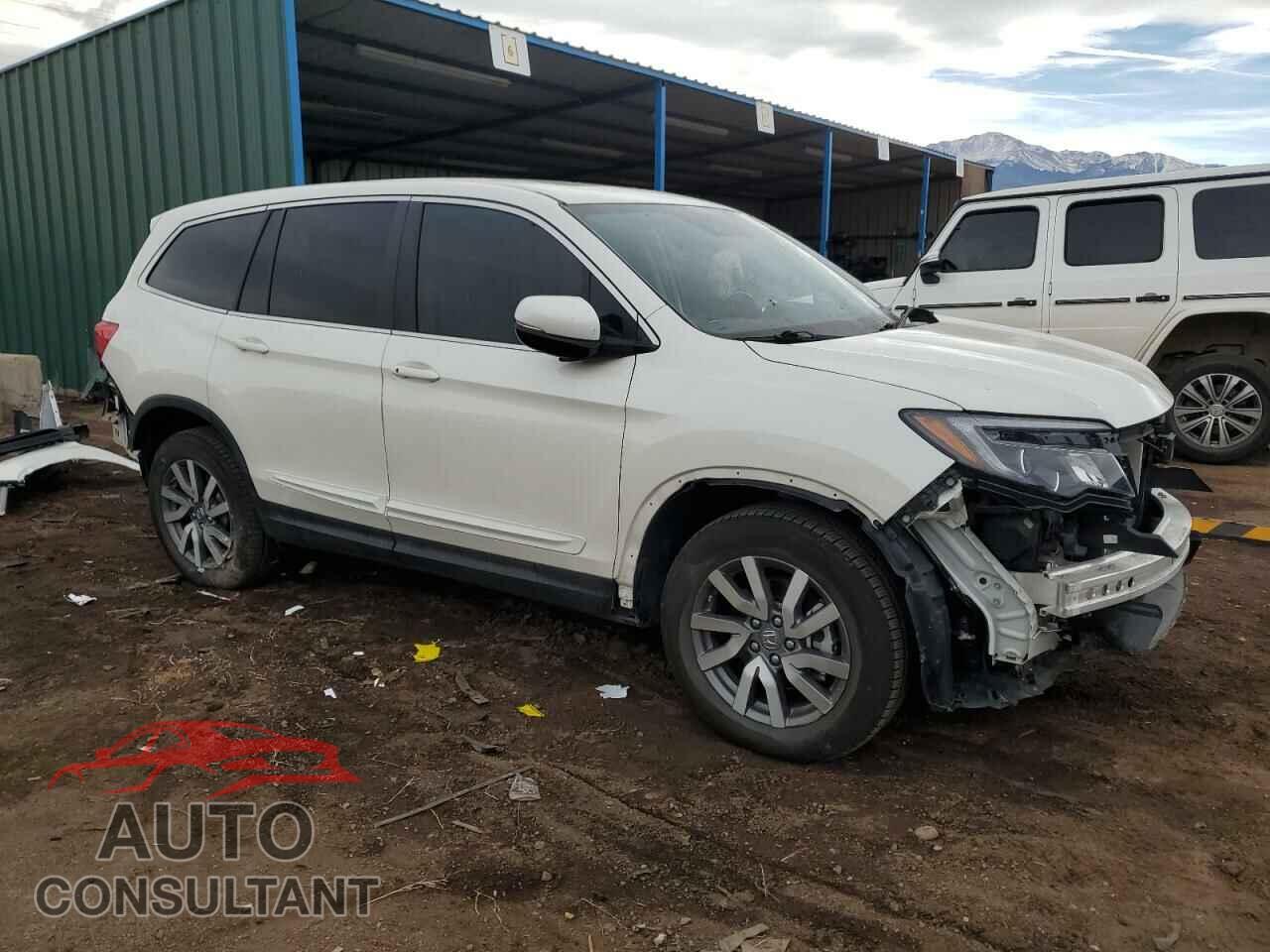 HONDA PILOT 2019 - 5FNYF6H59KB071920