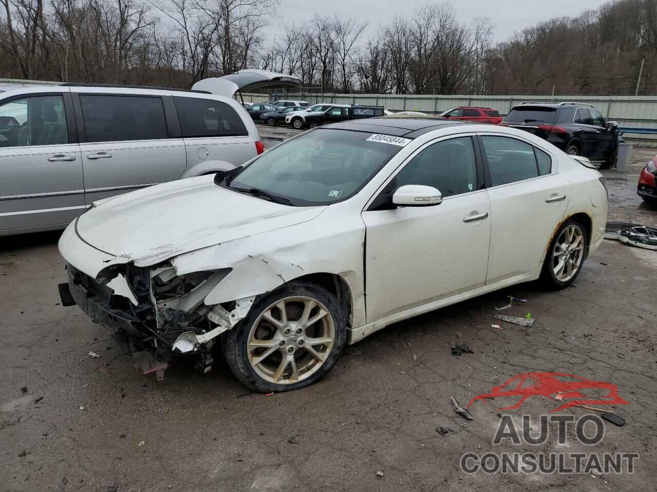 NISSAN MAXIMA 2013 - 1N4AA5AP6DC817591