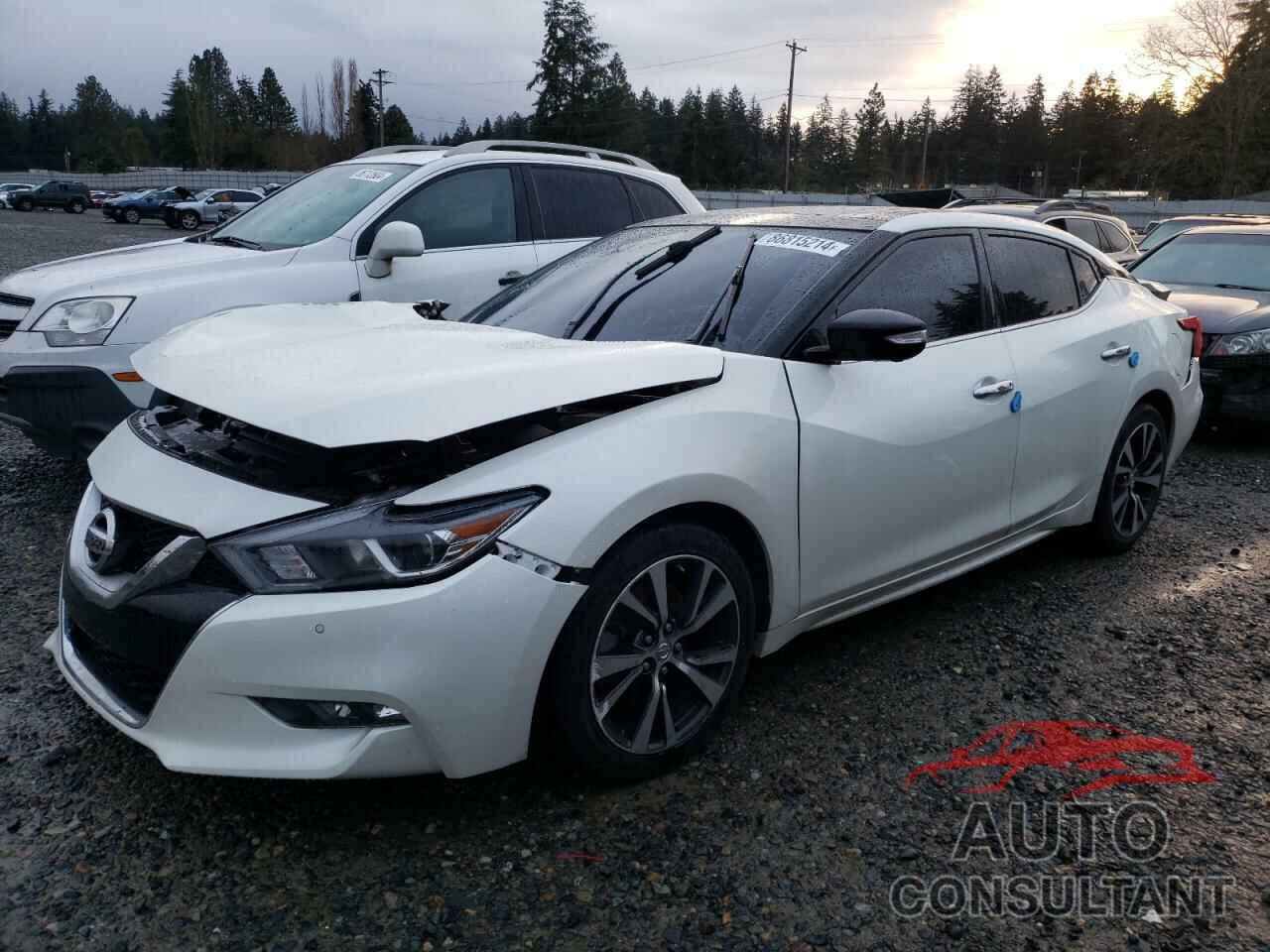 NISSAN MAXIMA 2017 - 1N4AA6AP1HC393216