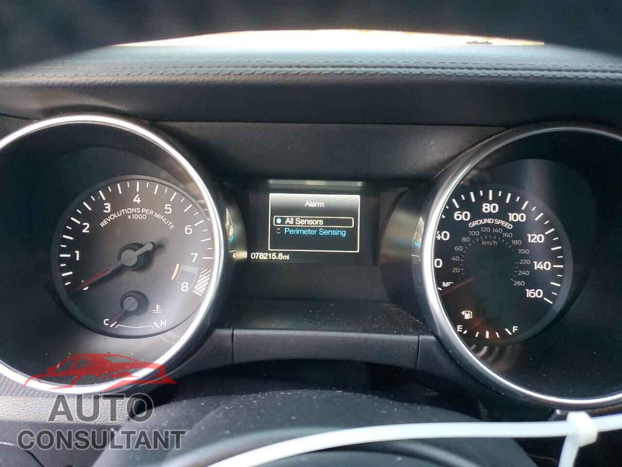 FORD MUSTANG 2019 - 1FA6P8CF6K5115024