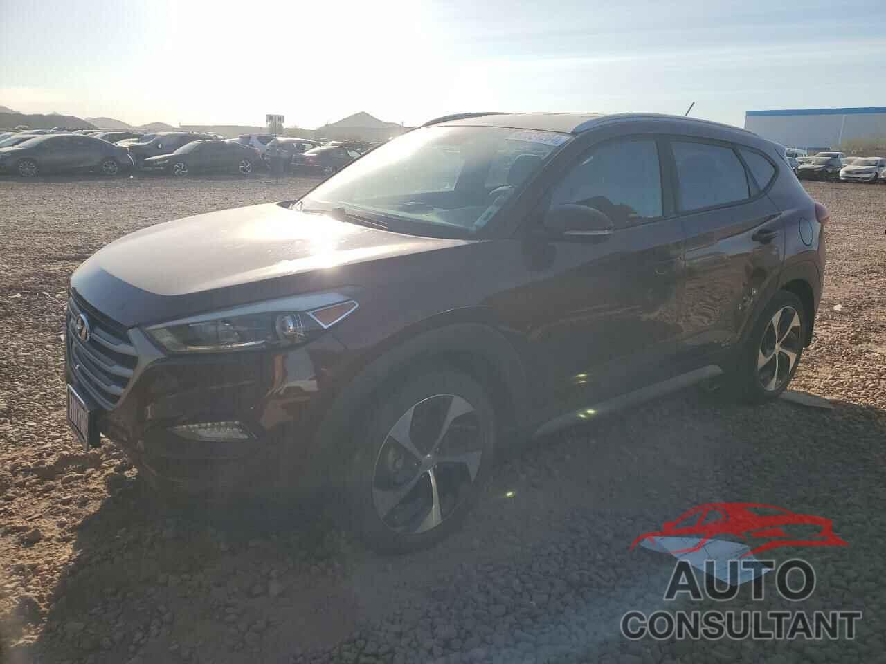 HYUNDAI TUCSON 2017 - KM8J33A24HU402262
