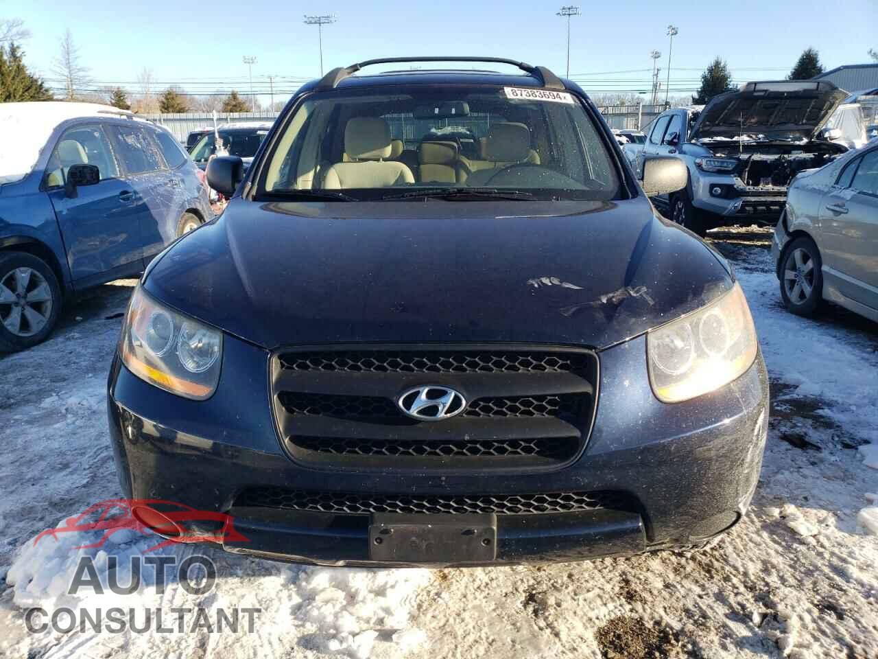 HYUNDAI SANTA FE 2009 - 5NMSG13D29H310480