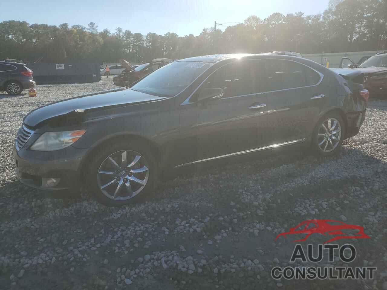 LEXUS LS460 2010 - JTHBL5EF6A5094415