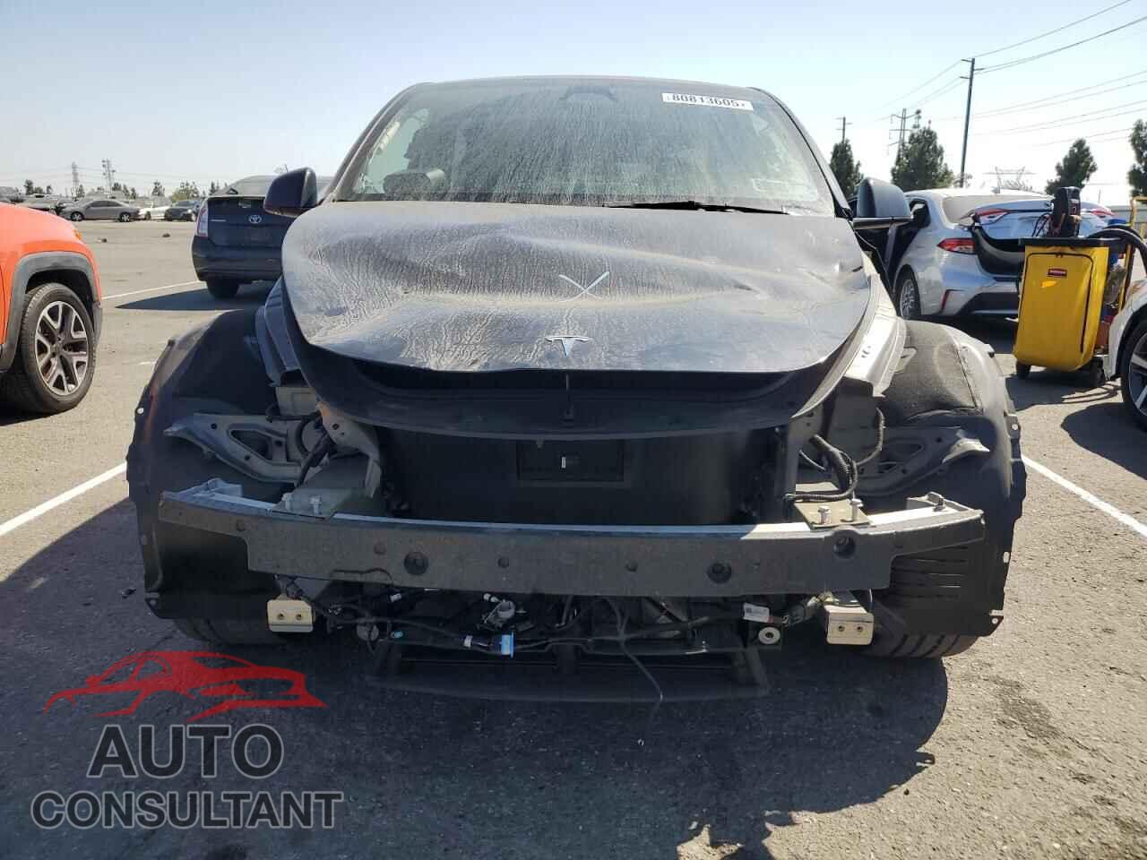 TESLA MODEL Y 2024 - 7SAYGDED1RF092643