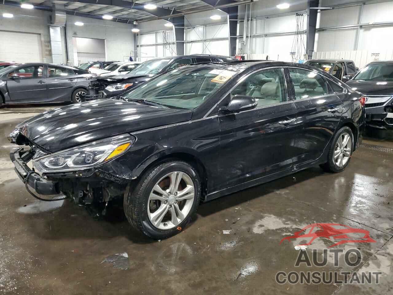 HYUNDAI SONATA 2019 - 5NPE34AF5KH793180