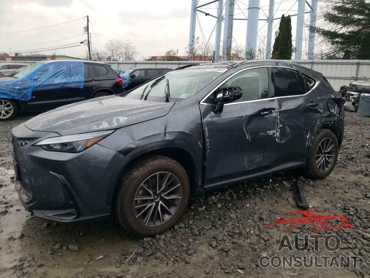 LEXUS NX 350 BAS 2024 - 2T2AGCEZ4RC053310