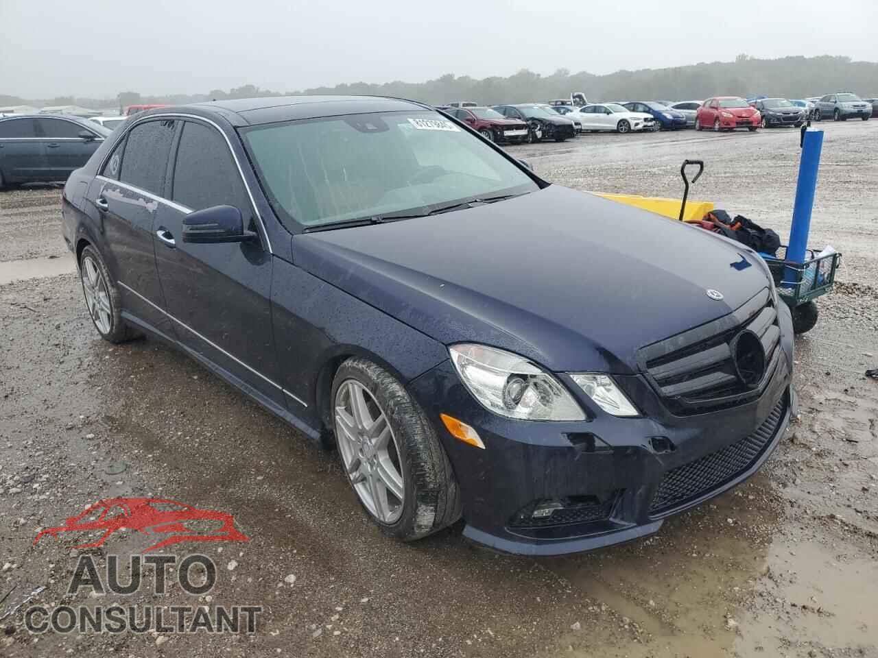 MERCEDES-BENZ E-CLASS 2010 - WDDHF9AB4AA222015