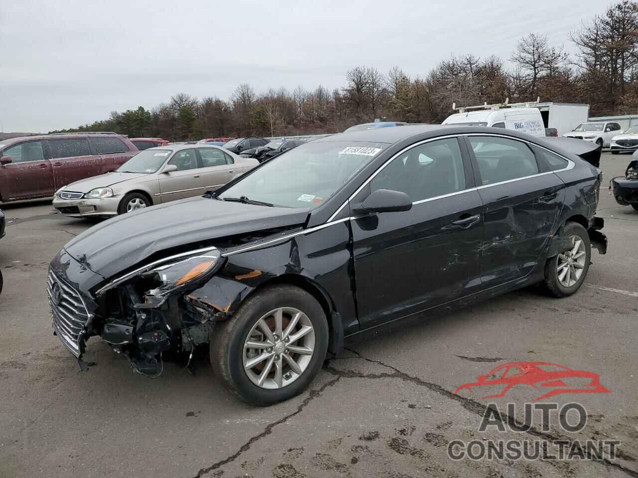HYUNDAI SONATA 2019 - 5NPE24AF1KH805912