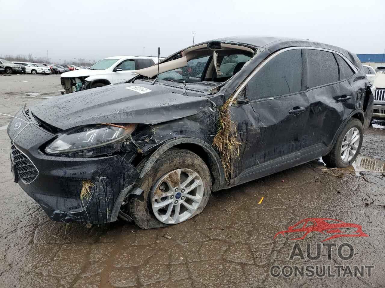 FORD ESCAPE 2020 - 1FMCU0G66LUC60441