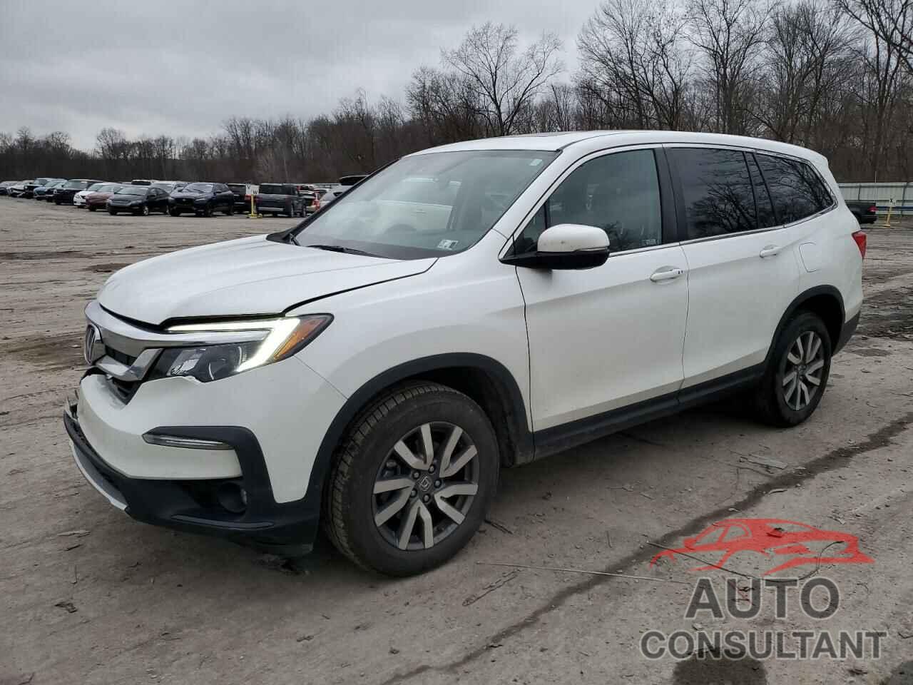 HONDA PILOT 2021 - 5FNYF6H54MB039430