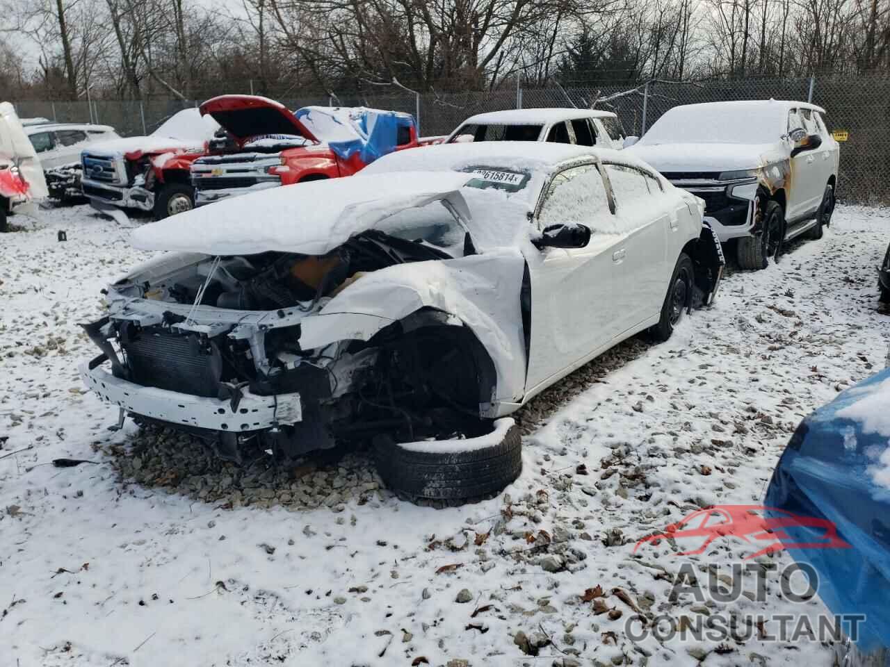 DODGE CHARGER 2019 - 2C3CDXKT9KH538670