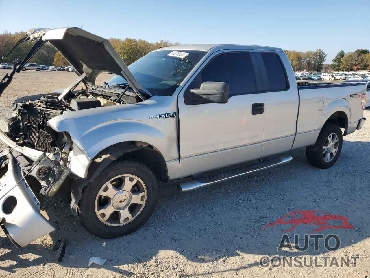 FORD F-150 2009 - 1FTRX12W29KB74664