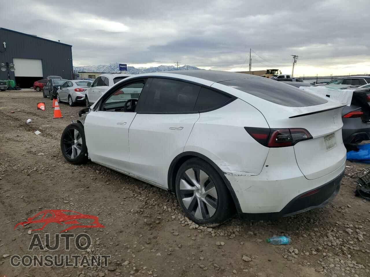 TESLA MODEL Y 2021 - 5YJYGAEE2MF208350