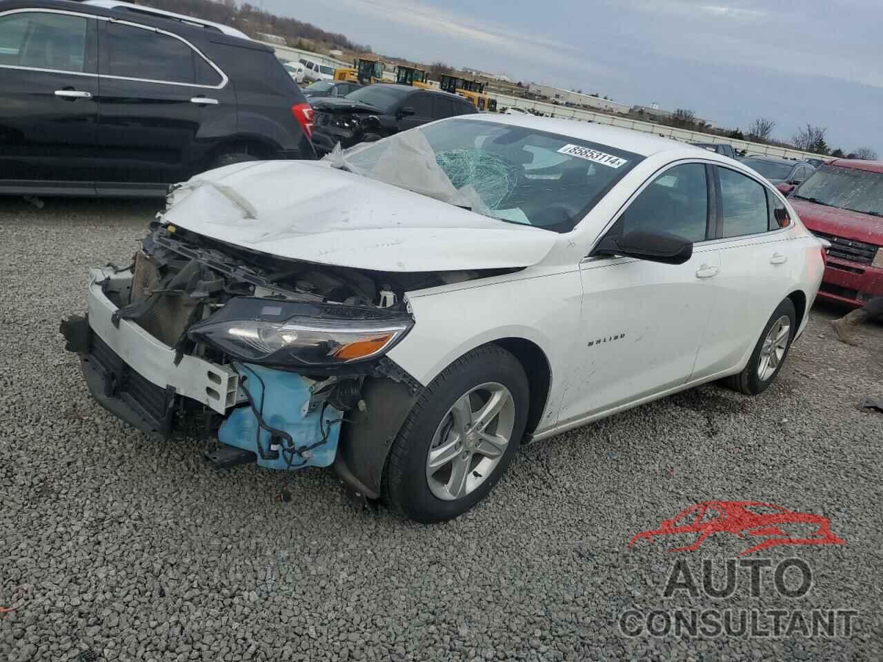 CHEVROLET MALIBU 2022 - 1G1ZB5ST7NF185800