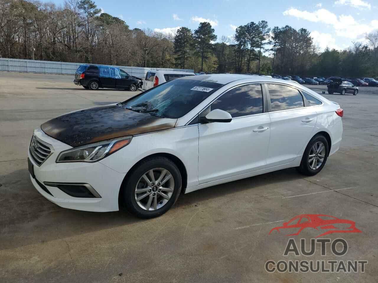 HYUNDAI SONATA 2016 - 5NPE24AF2GH352391