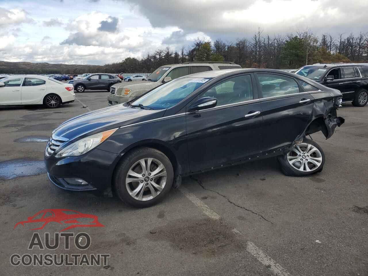 HYUNDAI SONATA 2013 - 5NPEC4AC3DH696407