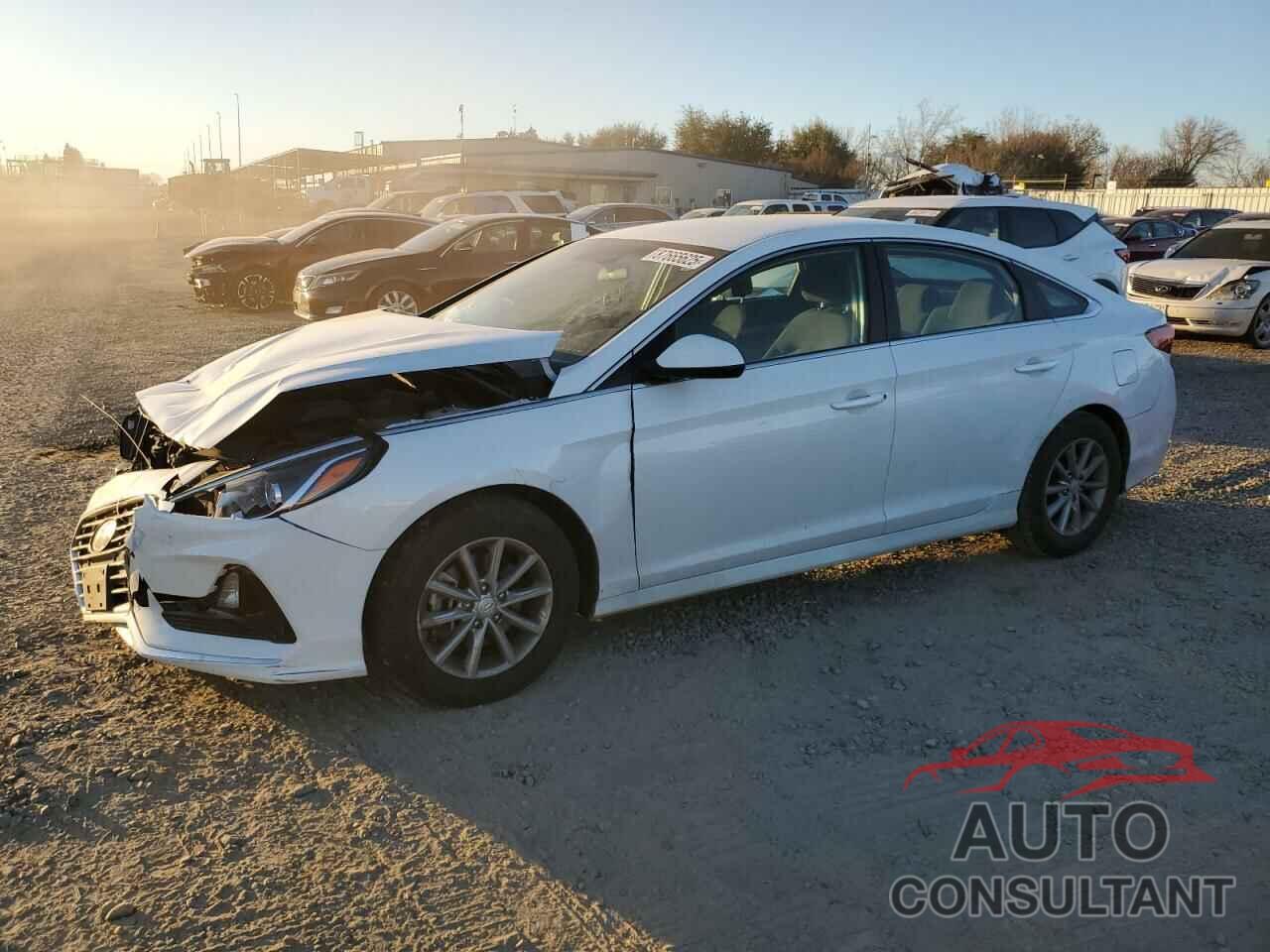 HYUNDAI SONATA 2019 - 5NPE24AF3KH780902