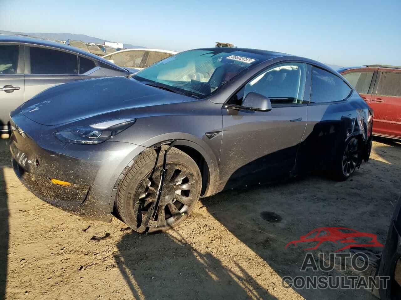 TESLA MODEL Y 2022 - 7SAYGAEE5NF557278