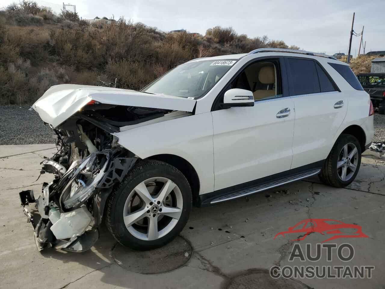 MERCEDES-BENZ GLE-CLASS 2018 - 4JGDA5JB5JB201096