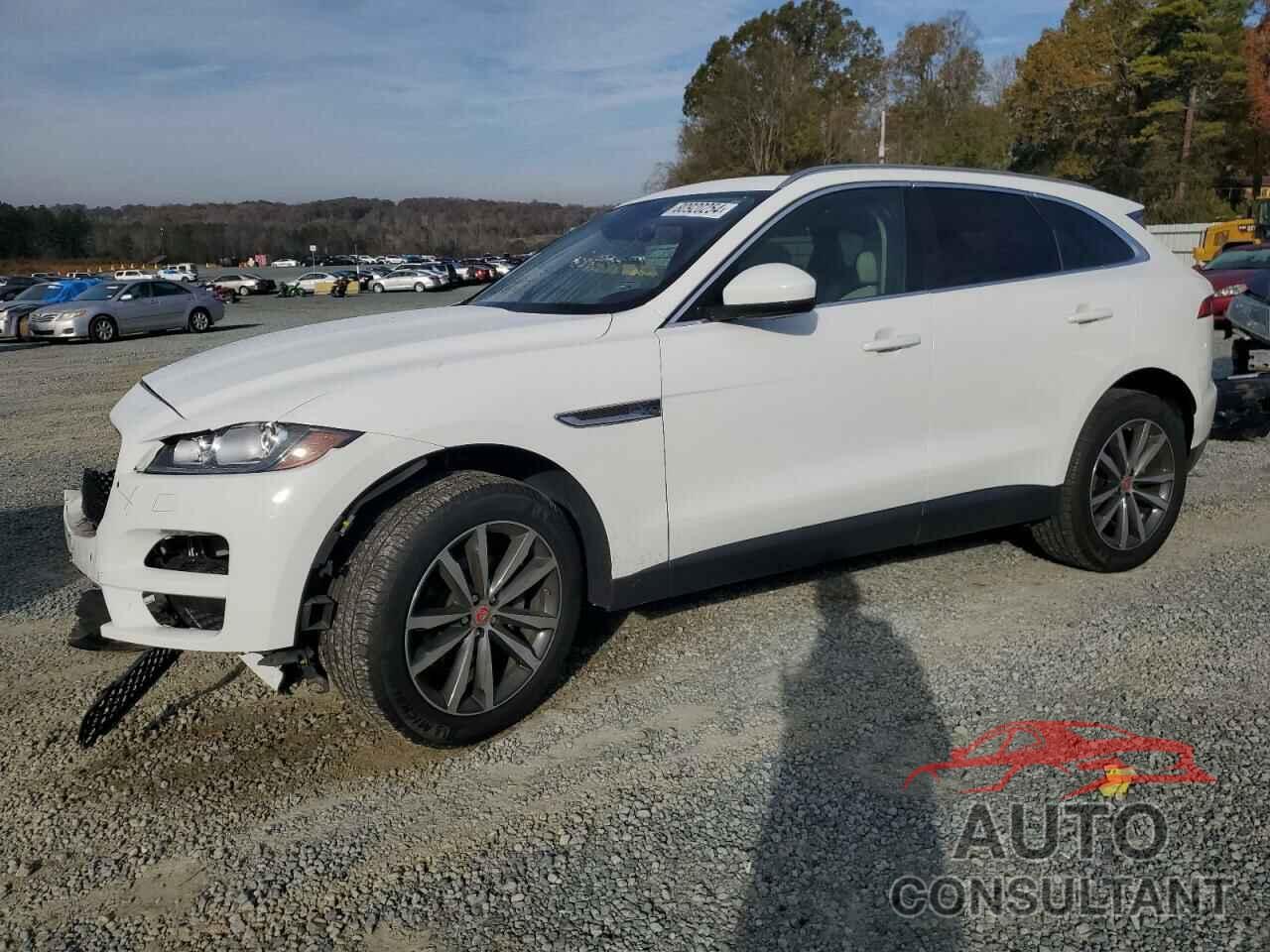 JAGUAR F-PACE 2020 - SADCK2FX1LA652961