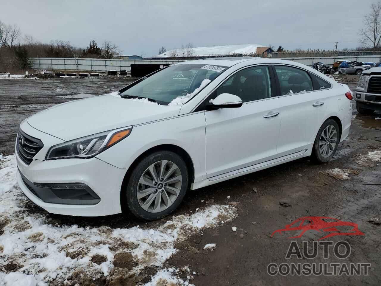 HYUNDAI SONATA 2017 - 5NPE34AF9HH536709