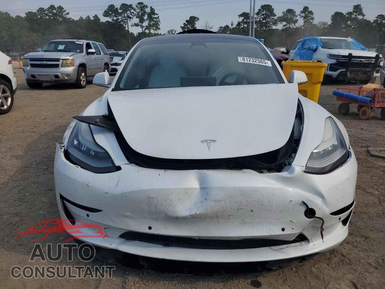 TESLA MODEL 3 2018 - 5YJ3E1EB3JF112194
