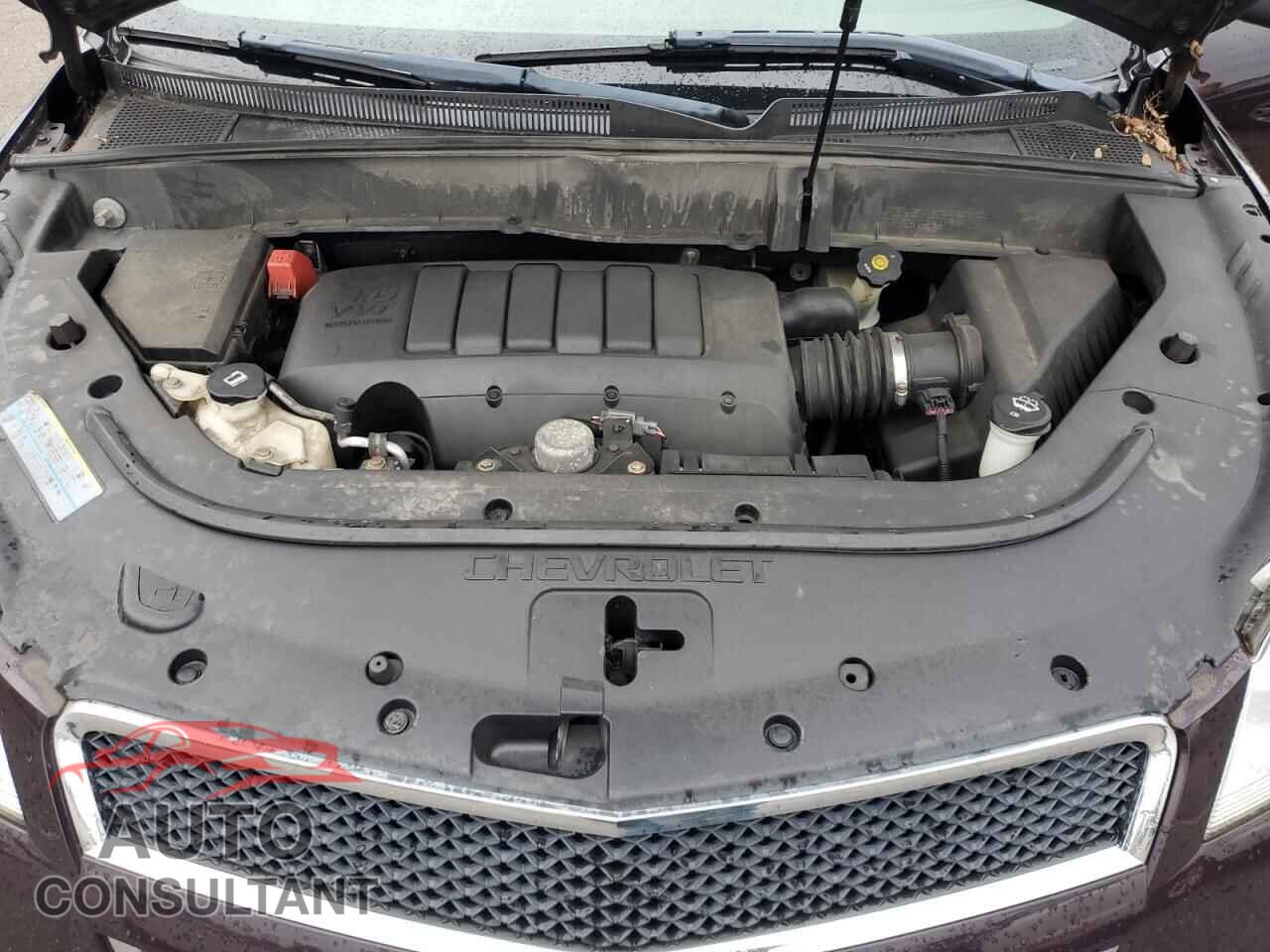 CHEVROLET TRAVERSE 2009 - 1GNEV13D09S166300