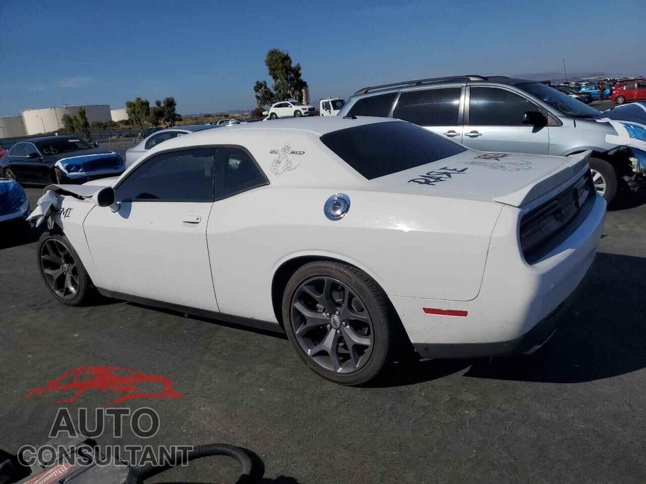 DODGE CHALLENGER 2019 - 2C3CDZBT5KH541271